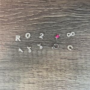 Origami Owl 10 Charm Set